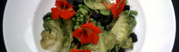 Broad Beans With Black Pudding, Little Gem, Peas And Nasturtiums